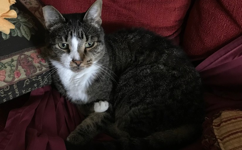 The Waiting is the Hardest&nbsp;Part