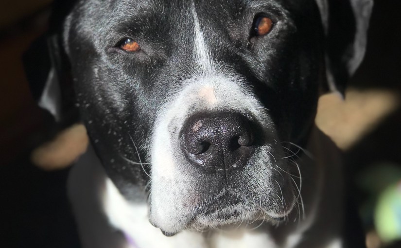 Interview for a&nbsp;Justice